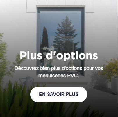 Fenêtres , Porte Fenêtres ouvrants à la française PVC Plus D'options 1