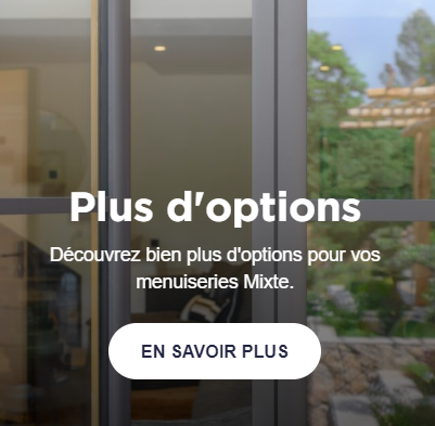 Fenêtres , Porte Fenêtres ouvrants à la Française Mixte Plus D'options : 1